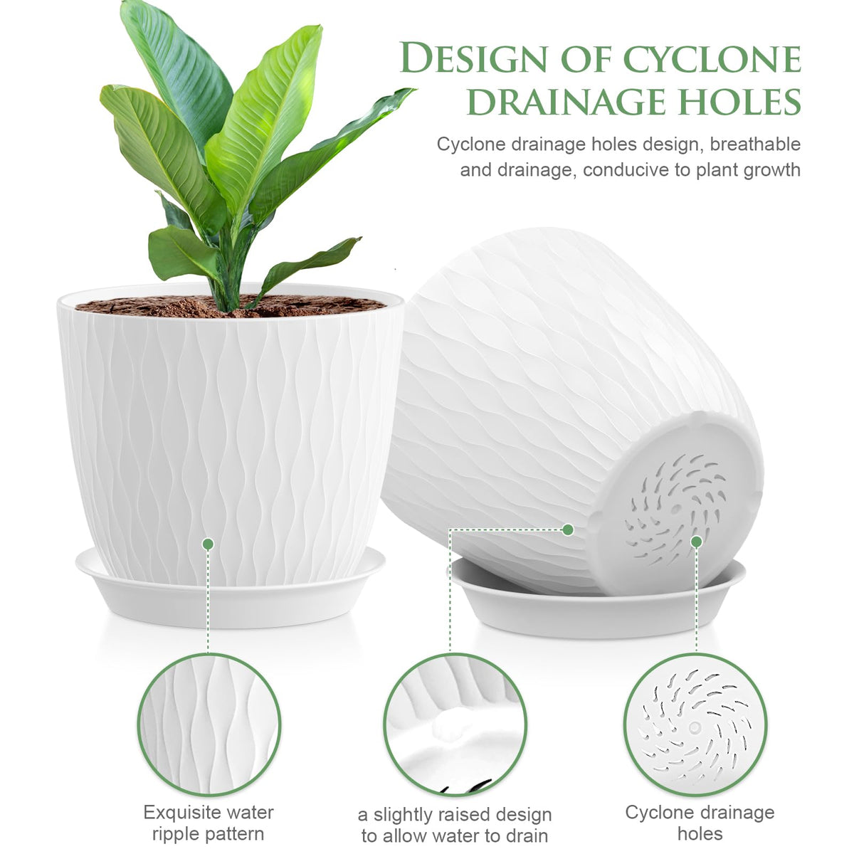 WSMKSZ pot highlighting raised saucer design for water management.