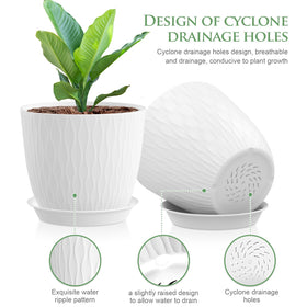 WSMKSZ pot highlighting raised saucer design for water management.