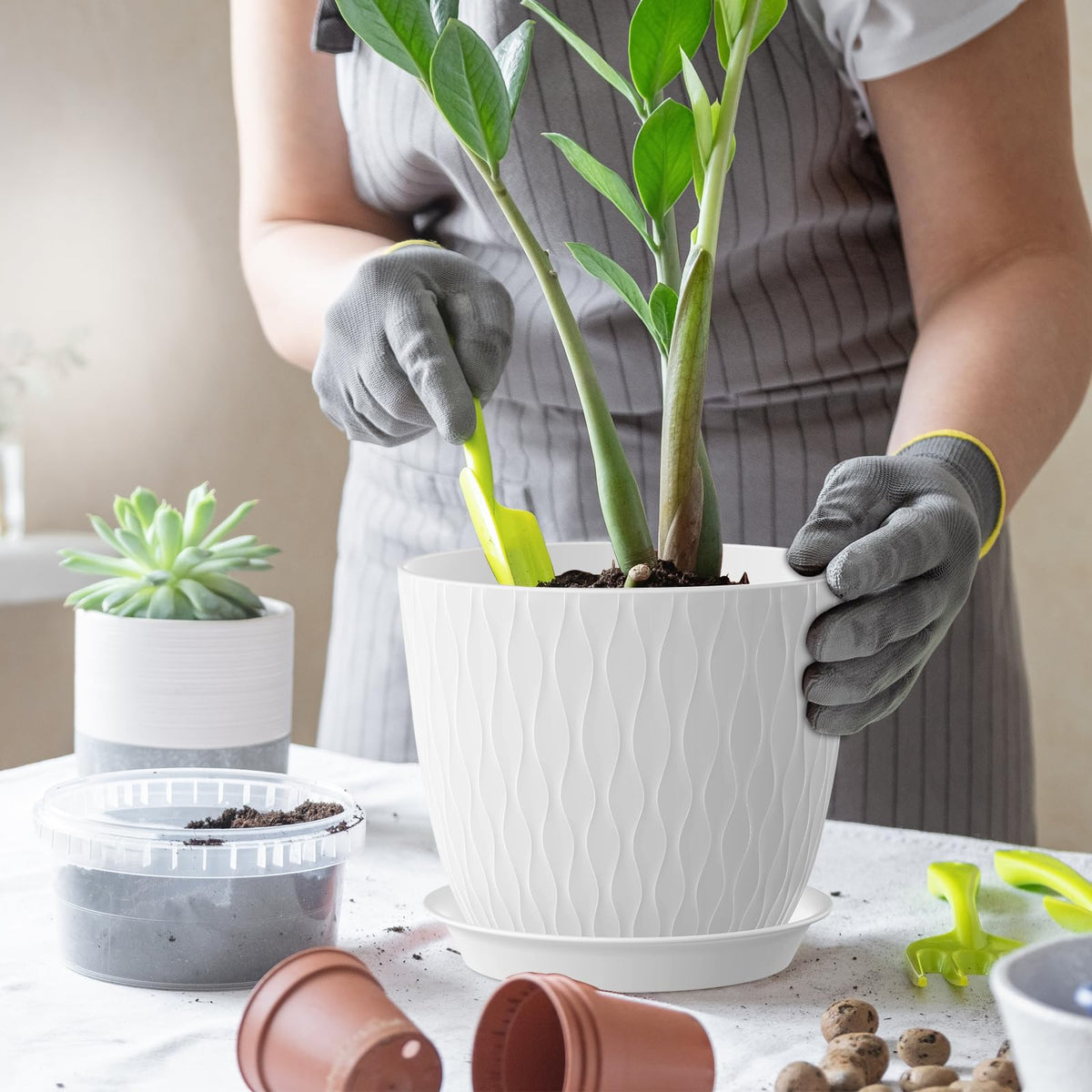 WSMKSZ 7-inch pot shown on windowsill with plant display.