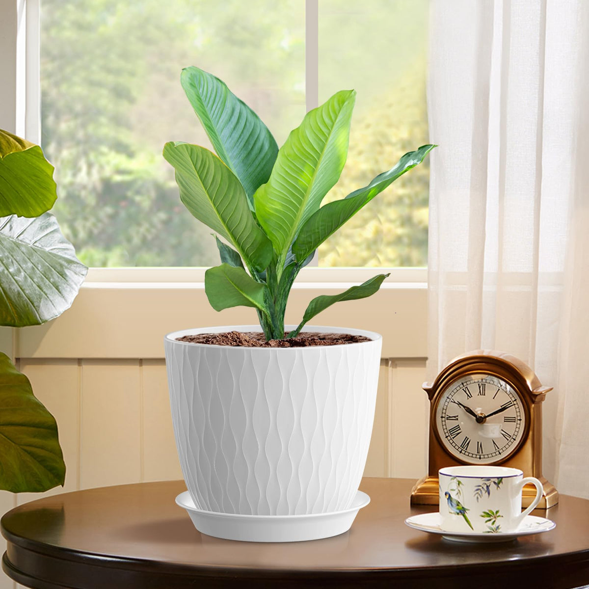 WSMKSZ white ripple pot ideal for small herbs on a desk.