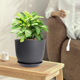 WSMKSZ 9-inch pot with drainage holes for healthy watering.