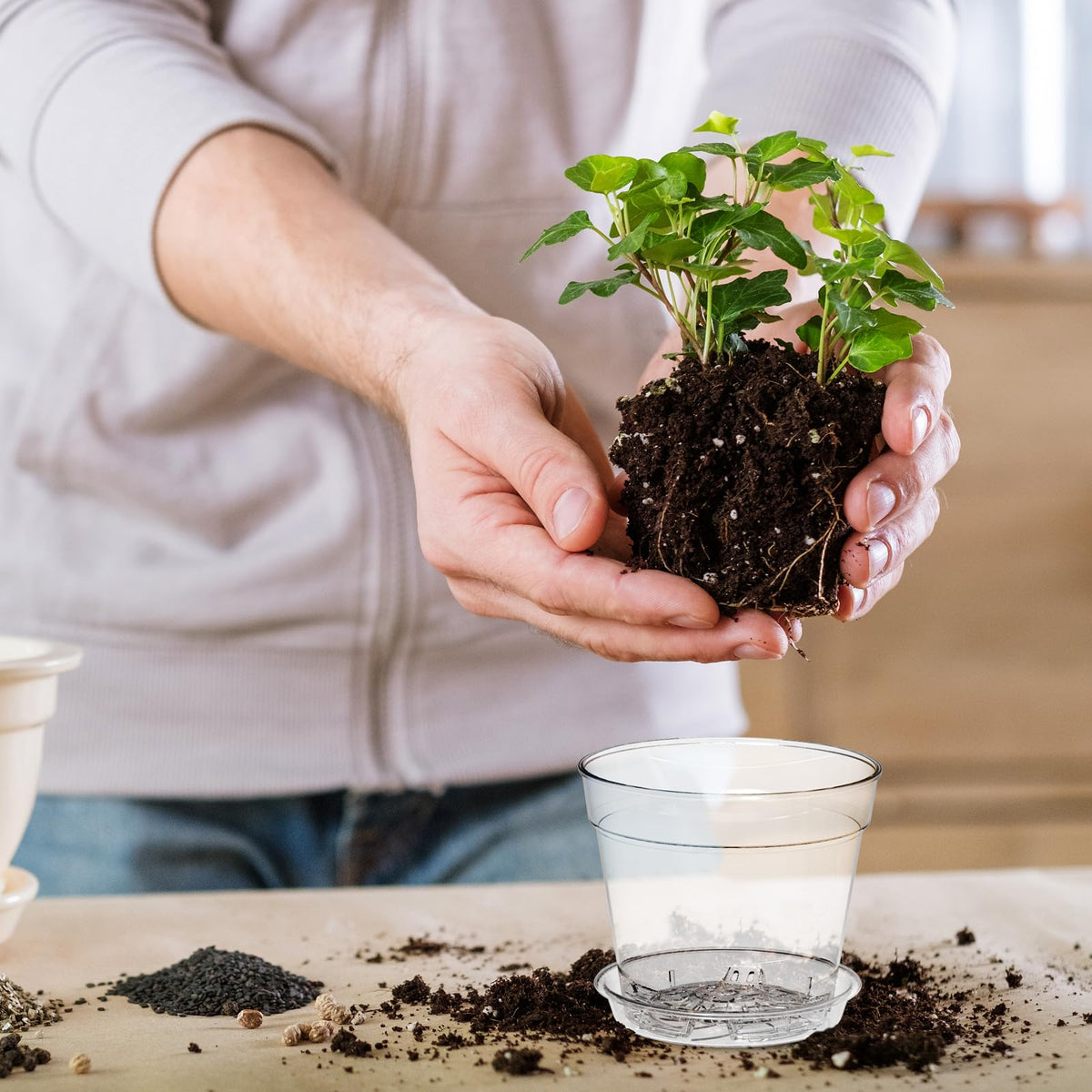 WSMKSZ clear nursery pot highlighting drainage holes for watering control