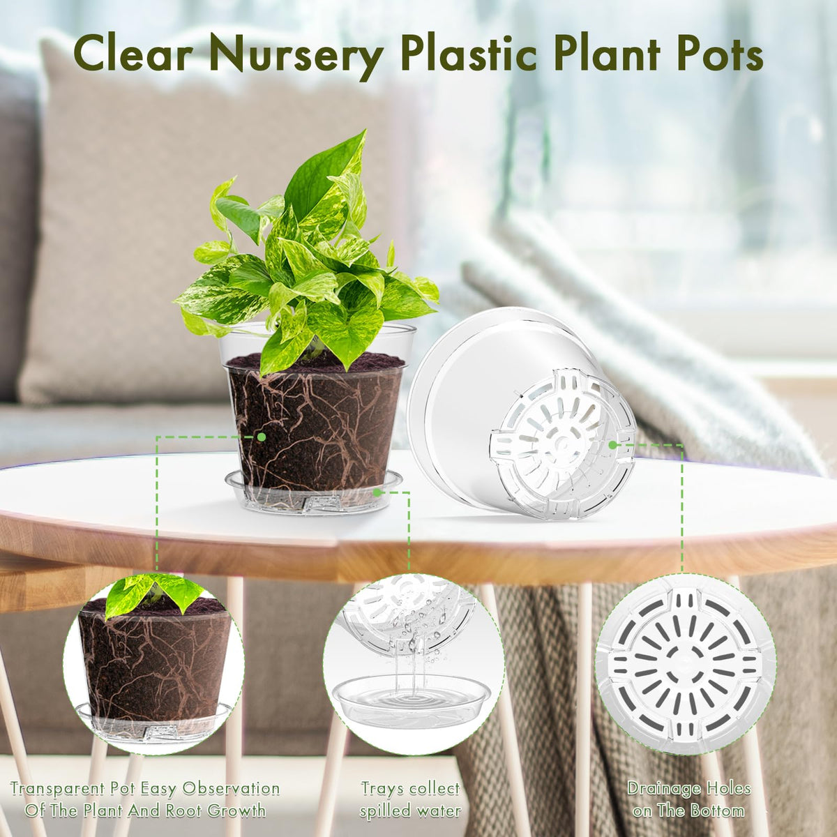 WSMKSZ clear pot with drainage holes highlighting moisture control for healthy seedlings.
