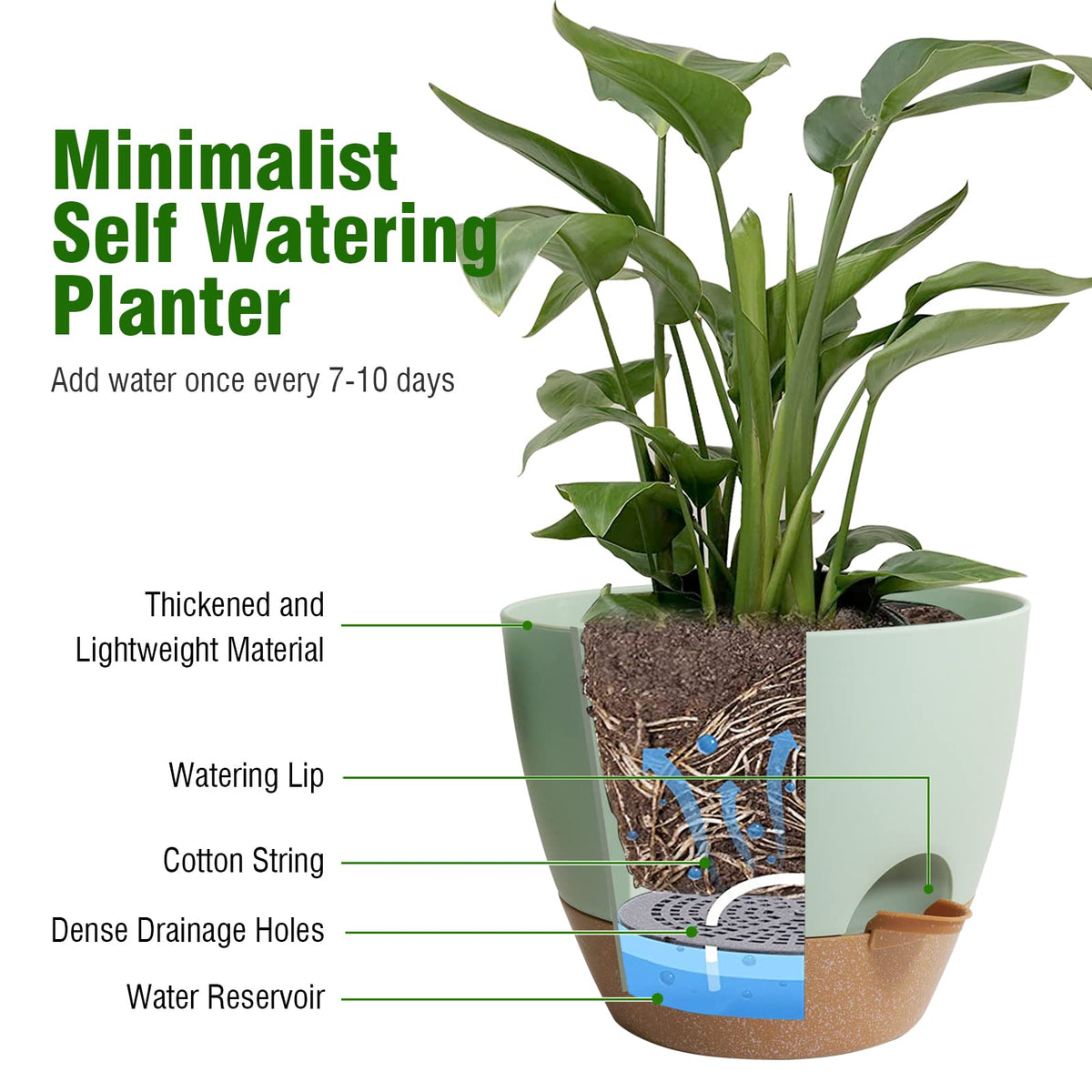 WSMKSZ deep reservoir planter supports longer intervals between waterings
