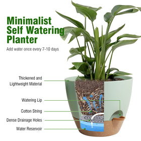 WSMKSZ deep reservoir planter supports longer intervals between waterings