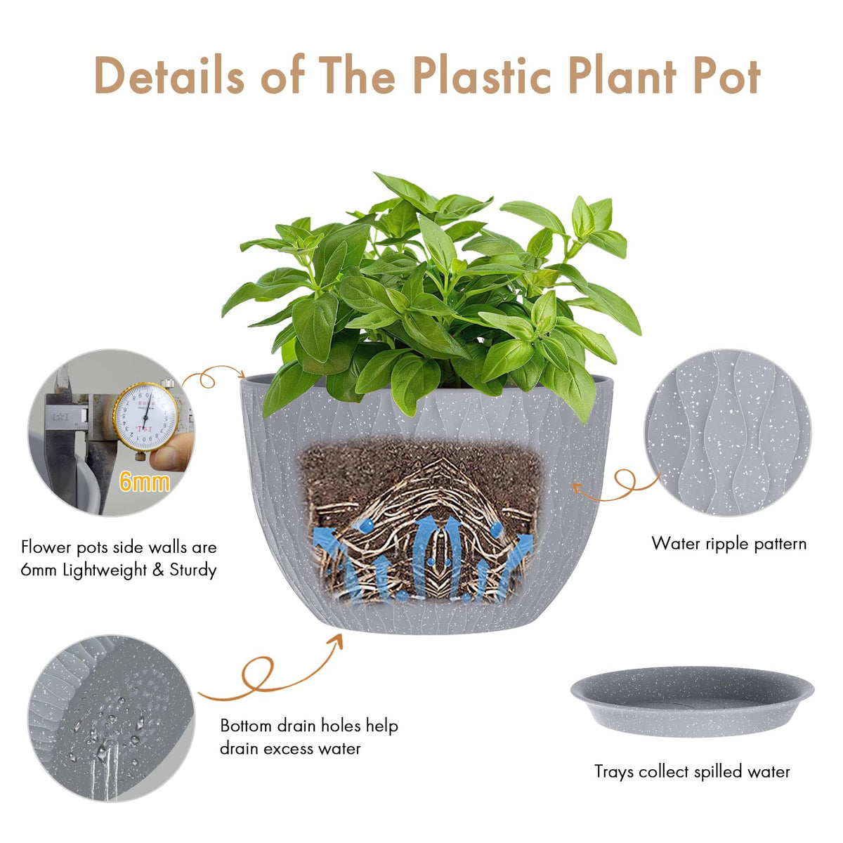 WSMKSZ drainage holes and saucer prevent overwatering and protect surfaces