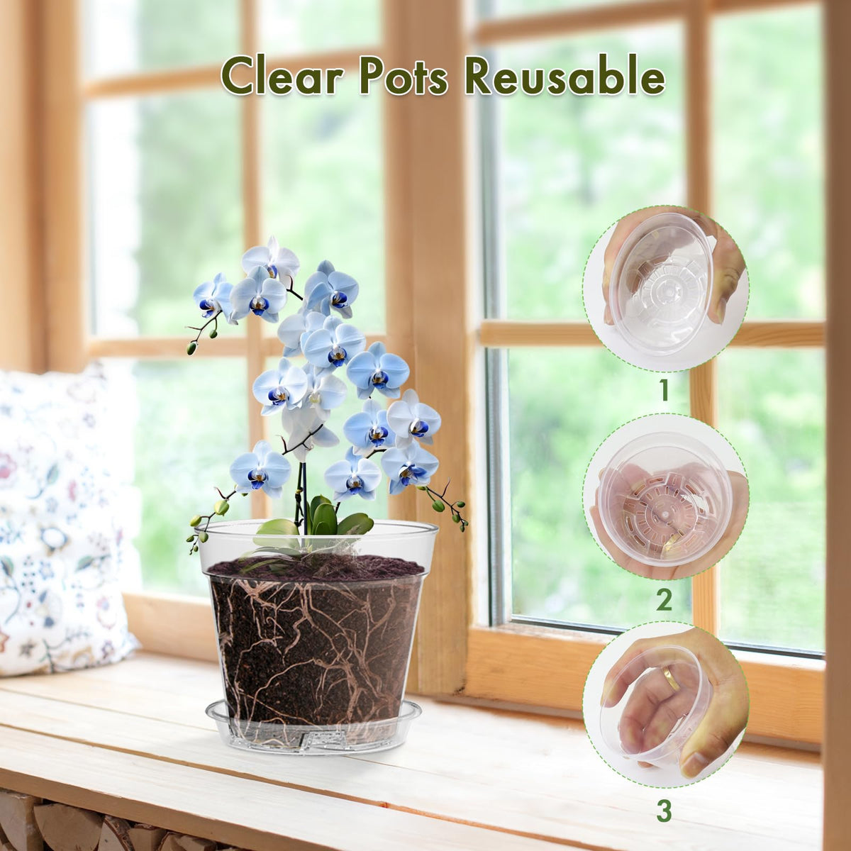WSMKSZ easy-remove seedling pot side squeeze enables safe transplanting.