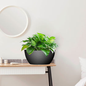 WSMKSZ gift-ready planter set for plant lovers