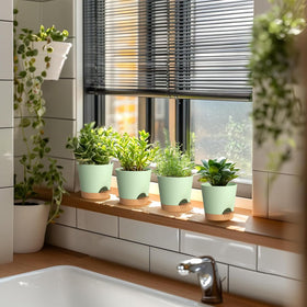 WSMKSZ gift-ready six-pack plant pots for thoughtful gifting
