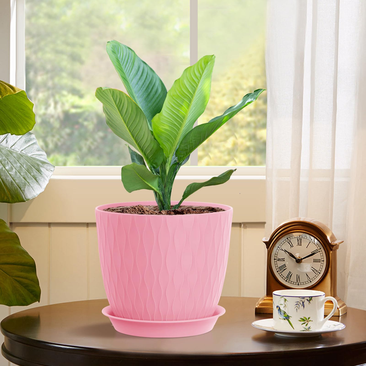 WSMKSZ indoor-decor pots complement shelves and desks with vibrant color options.