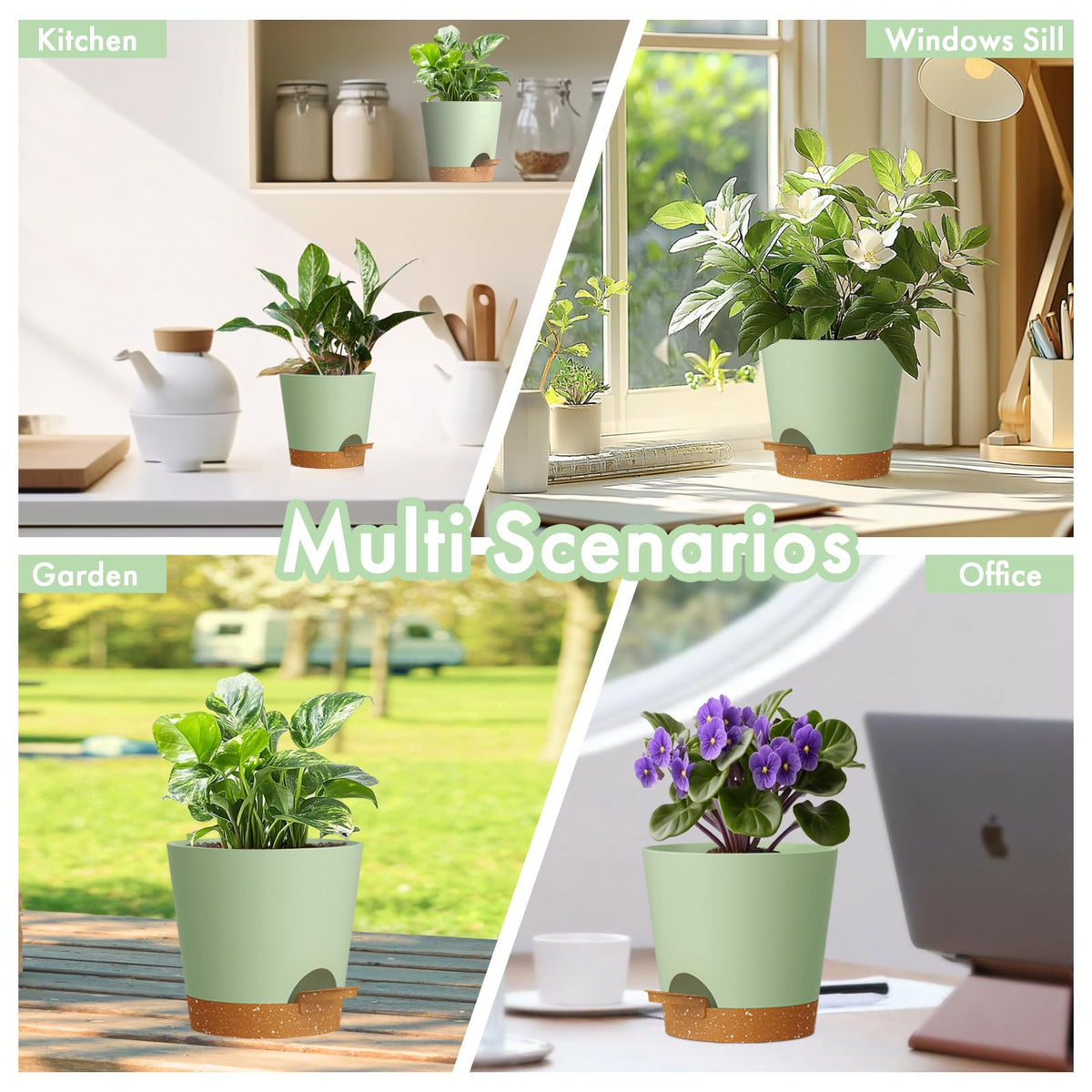 WSMKSZ indoor outdoor plant display in living space