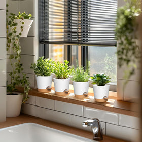 WSMKSZ indoor-outdoor friendly planters ideal gifts for garden lovers