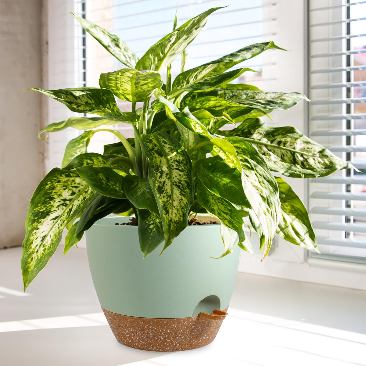 WSMKSZ lightweight durable plastic pot for flexible indoor outdoor use