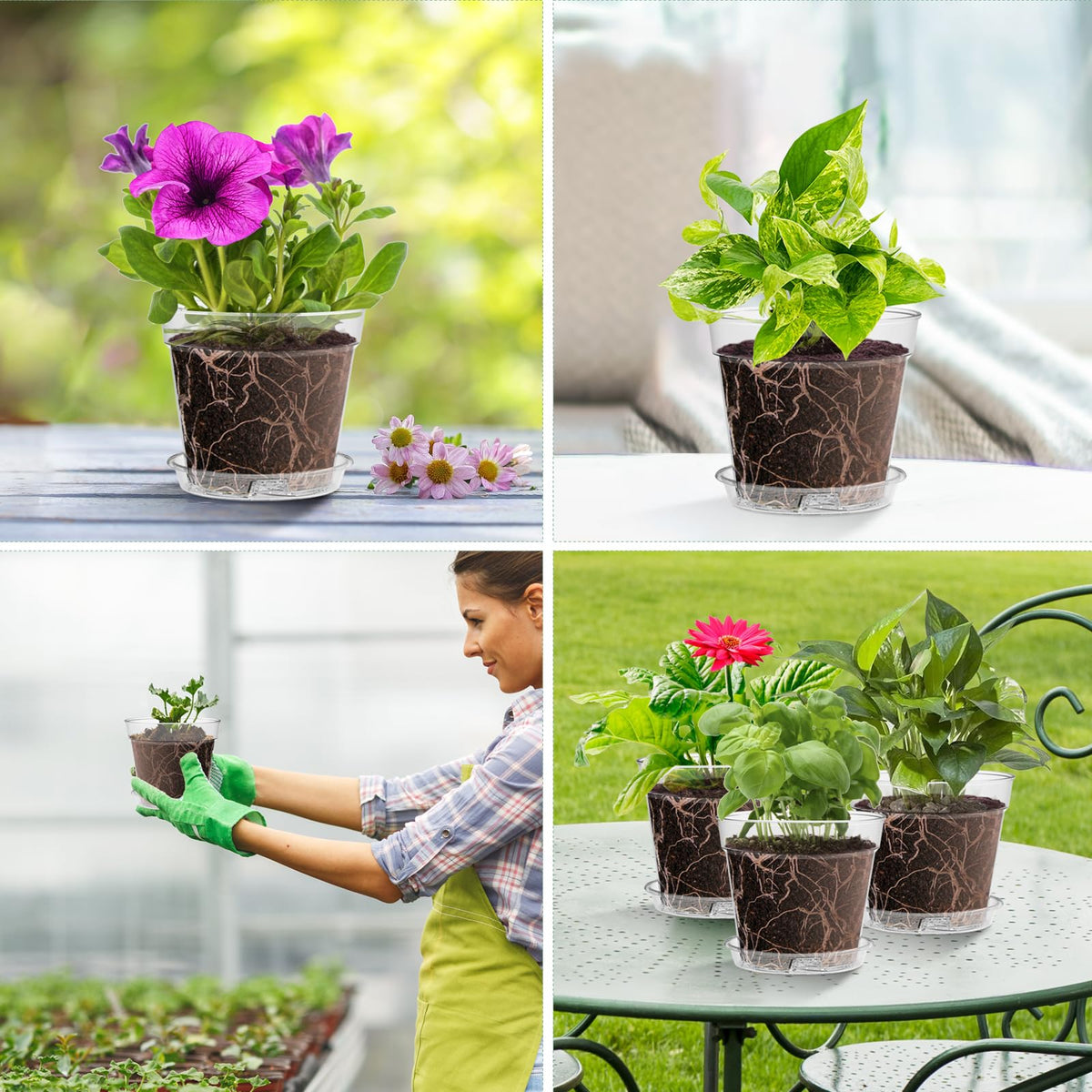 WSMKSZ orchid and succulent-friendly pots support transplant readiness and space-saving display.