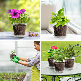 WSMKSZ orchid and succulent-friendly pots support transplant readiness and space-saving display.