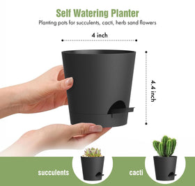 WSMKSZ pot with wicking rope for steady moisture delivery