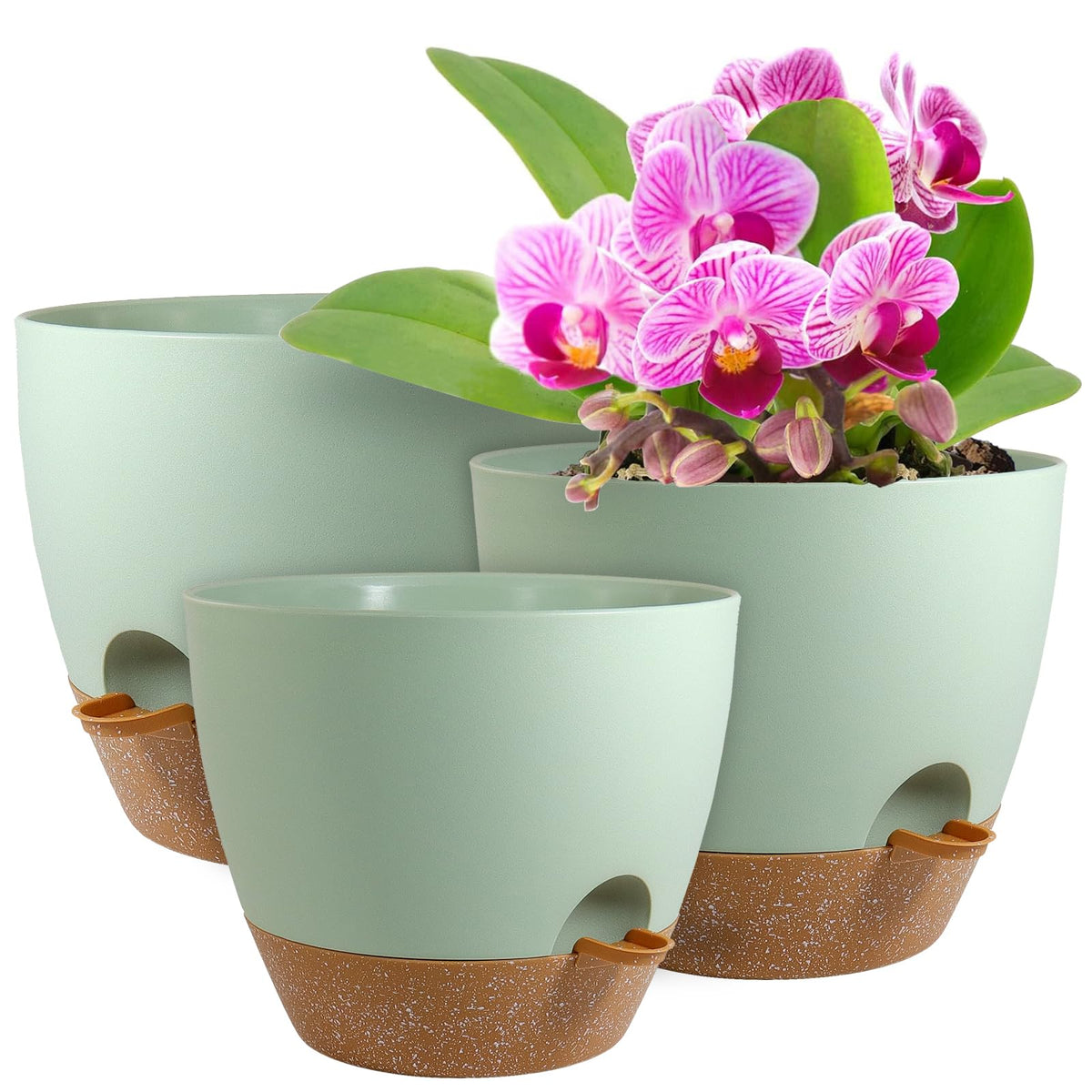 WSMKSZ big self-watering pot 12-inch, green-brown finish, ideal for easy plant care