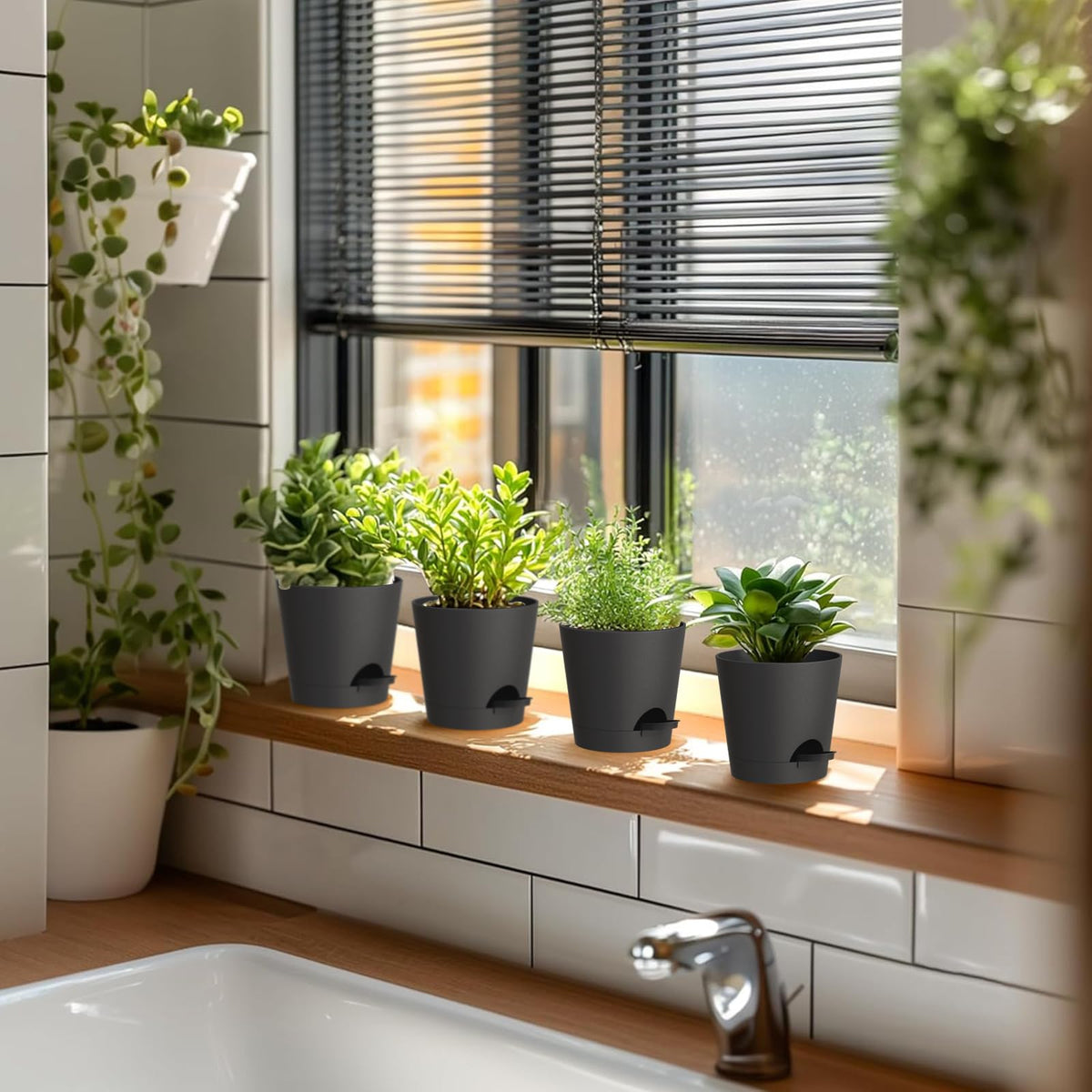 WSMKSZ six-pack of self-watering pots for coordinated displays