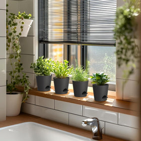 WSMKSZ six-pack of self-watering pots for coordinated displays