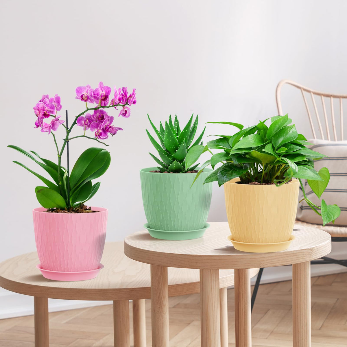 WSMKSZ succulent-friendly pots fit small succulents and herbs with room to grow.