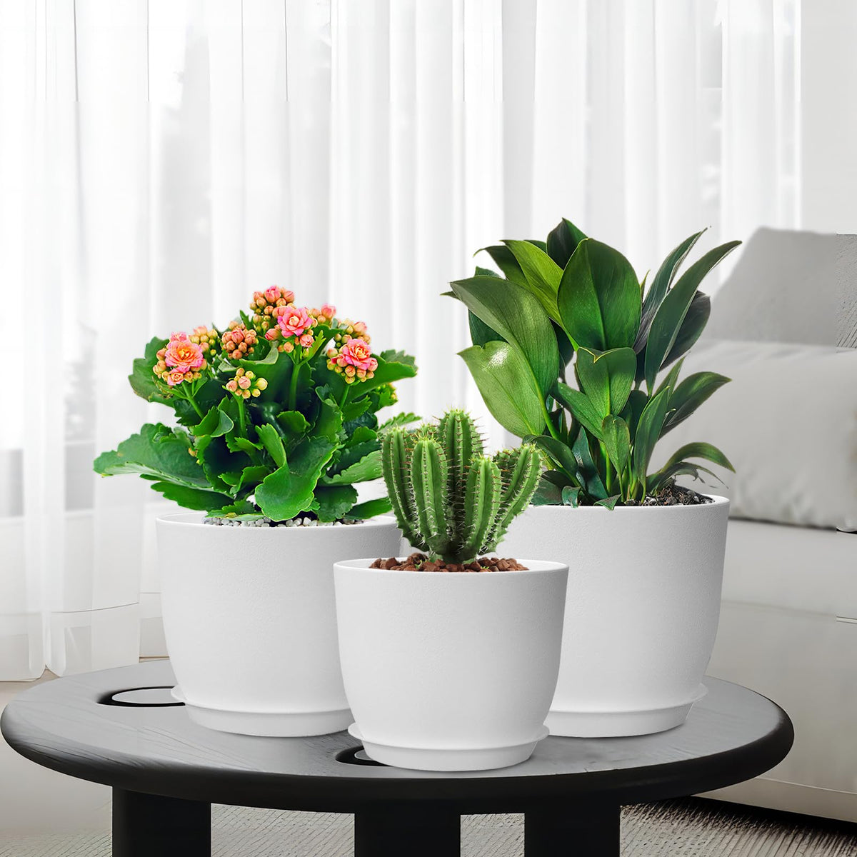WSMKSZ three-pack white plant pots for easy rearrangement.