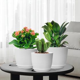WSMKSZ three-pack white plant pots for easy rearrangement.