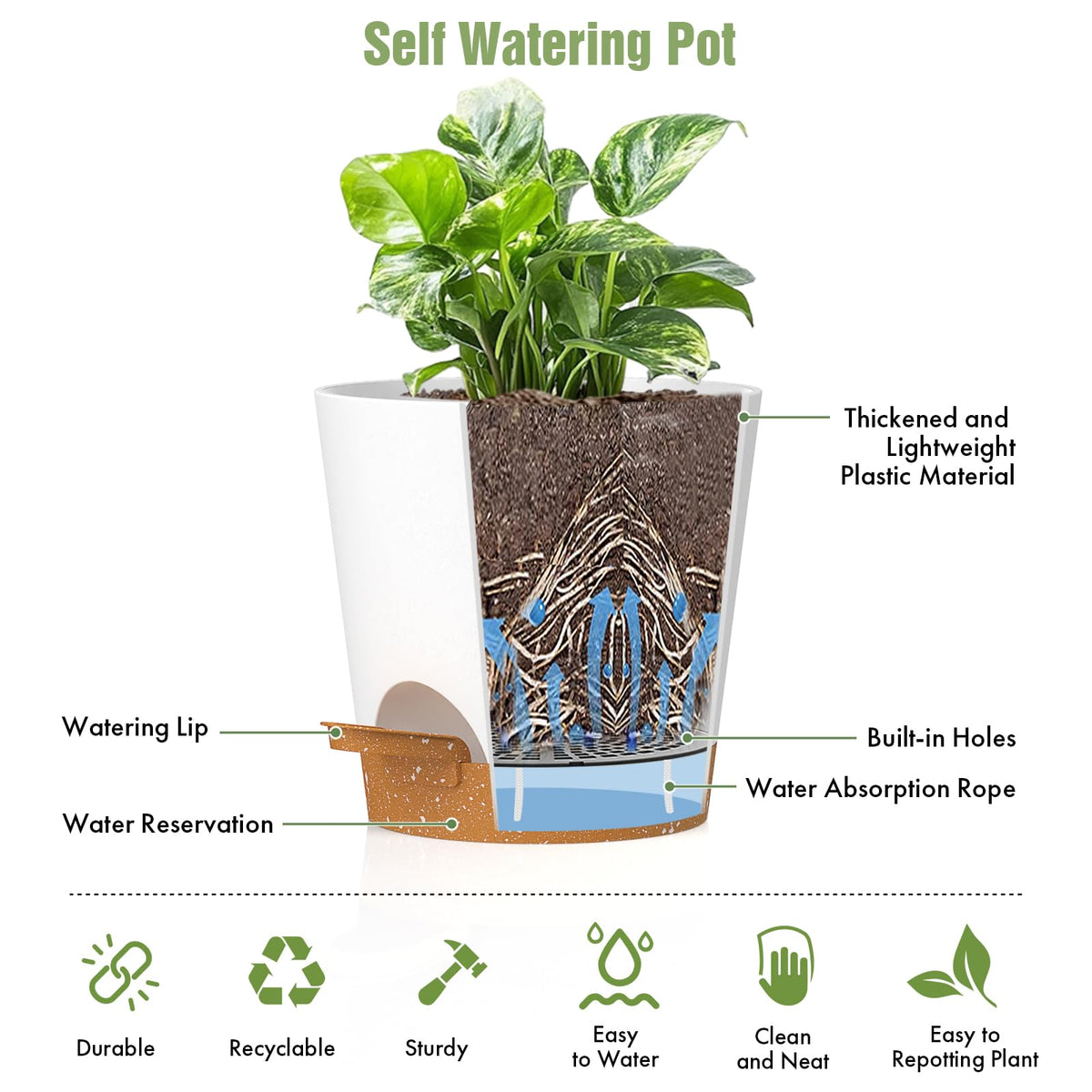 WSMKSZ versatile planters great for succulents, herbs, or flowering plants