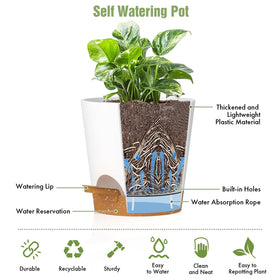 WSMKSZ versatile planters great for succulents, herbs, or flowering plants
