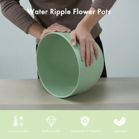 WSMKSZ wide 12-inch pot supports small to medium plants