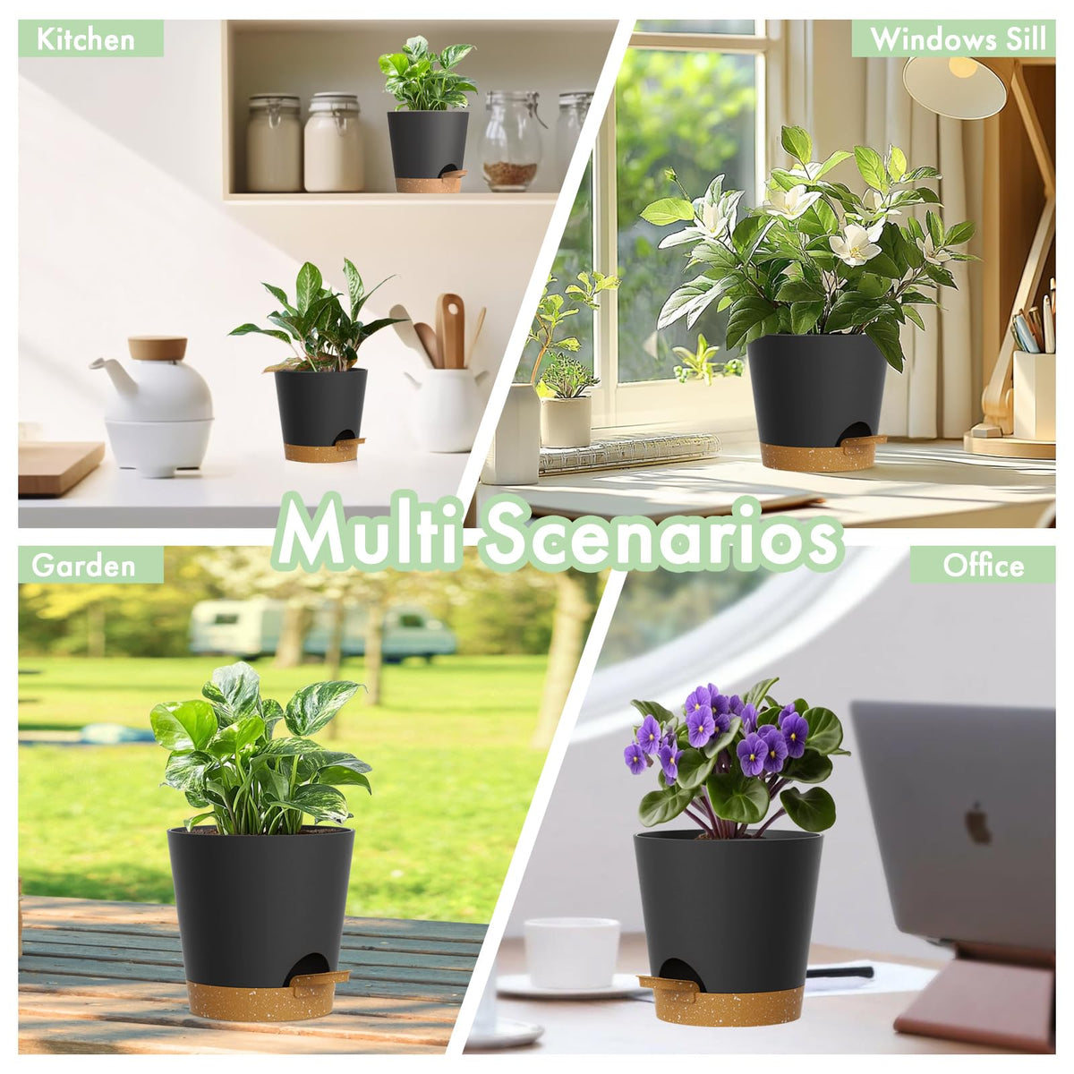 WSMKSZ window sill or tabletop plant pot in a bright setting