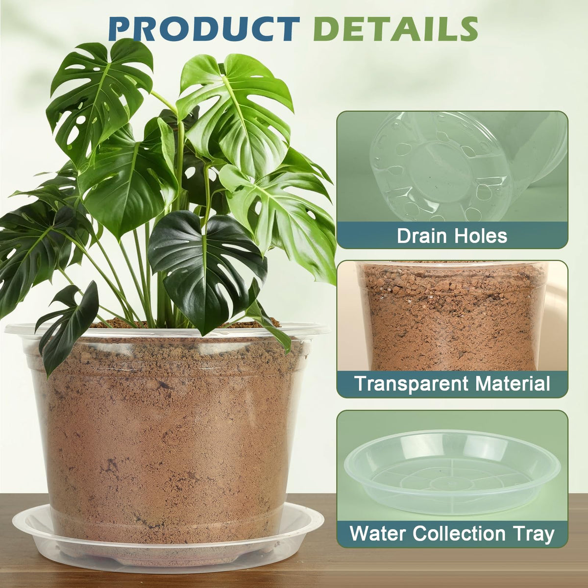 WTXHOP 10-inch clear nursery pot offers spacious growth for seedlings.