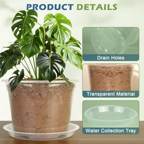 WTXHOP 10-inch clear nursery pot offers spacious growth for seedlings.