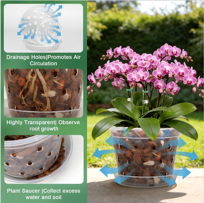 WTXHOP clear durable plastic allows root visibility and sun exposure.