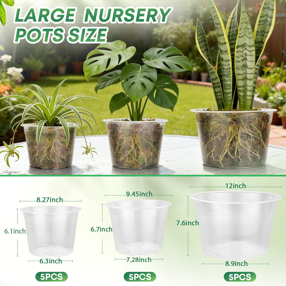 WTXHOP clear nursery pot 10-inch with drainage holes for watering control.