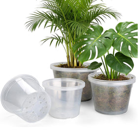 WTXHOP clear nursery pot 8-inch with transparent walls for root observation.