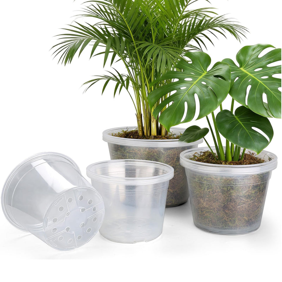 WTXHOP clear nursery pot 8-inch with transparent walls for root observation.
