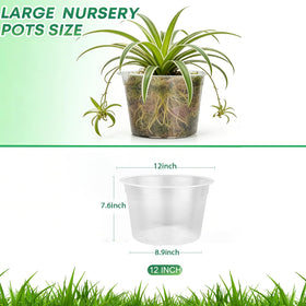 WTXHOP clear nursery pot with drainage holes supports healthy root ventilation.