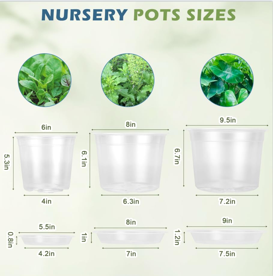 WTXHOP clear nursery pot with saucer set demonstrates moisture capture and floor protection.
