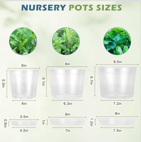 WTXHOP clear nursery pot with saucer set demonstrates moisture capture and floor protection.