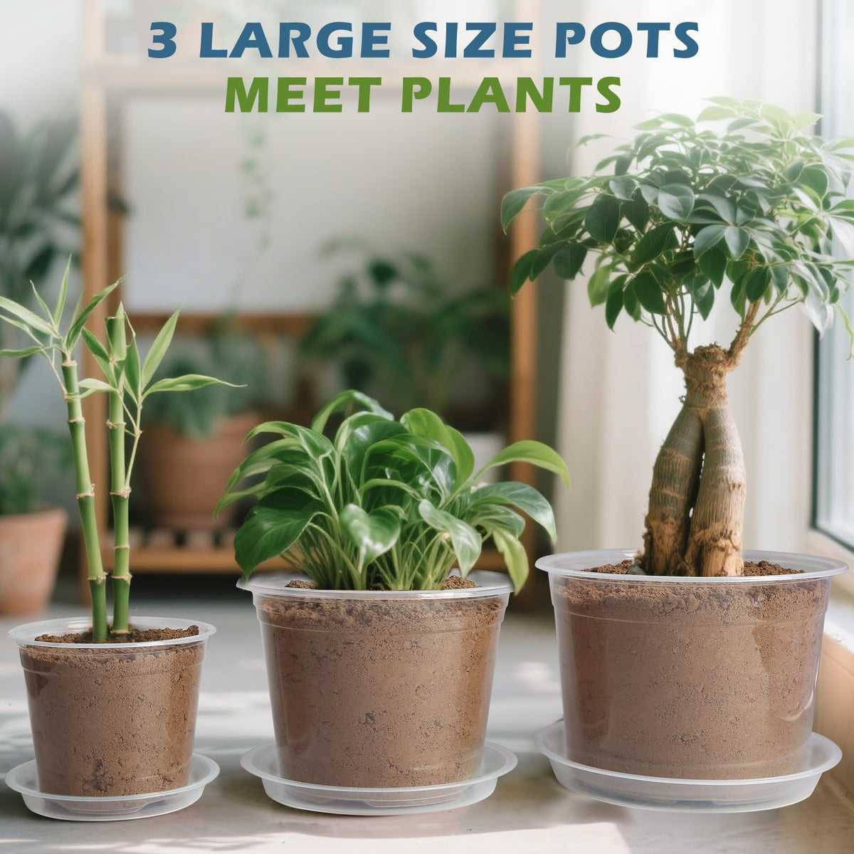 WTXHOP drainage holes prevent waterlogging and promote strong root systems.