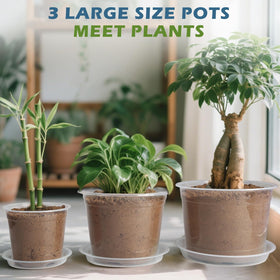 WTXHOP drainage holes prevent waterlogging and promote strong root systems.