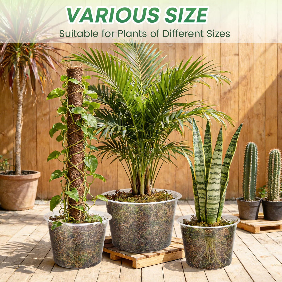 WTXHOP indoor-outdoor gardening pot suited for balconies.