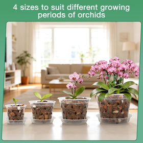 WTXHOP orchid plant stakes provide stable support for upright growth.