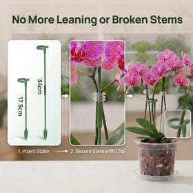 WTXHOP orchid pot saucers catch excess water, protecting surfaces.