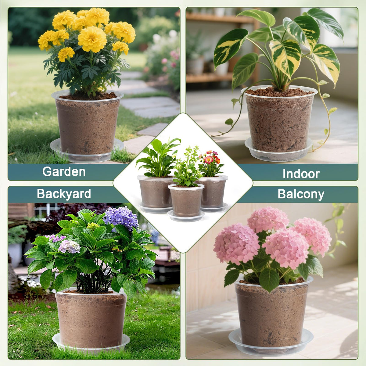 WTXHOP versatile set supports seedling propagation and indoor outdoor gardening.