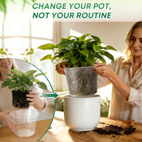 WTXHOP transparent seedling pot shows roots for precise watering.