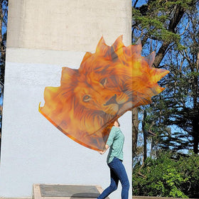Wuchieal easy-carry flag with included bag for on-the-go rehearsals.