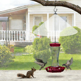 WUCYLKA squirrel-proof umbrella guard protects bird feeders from pests