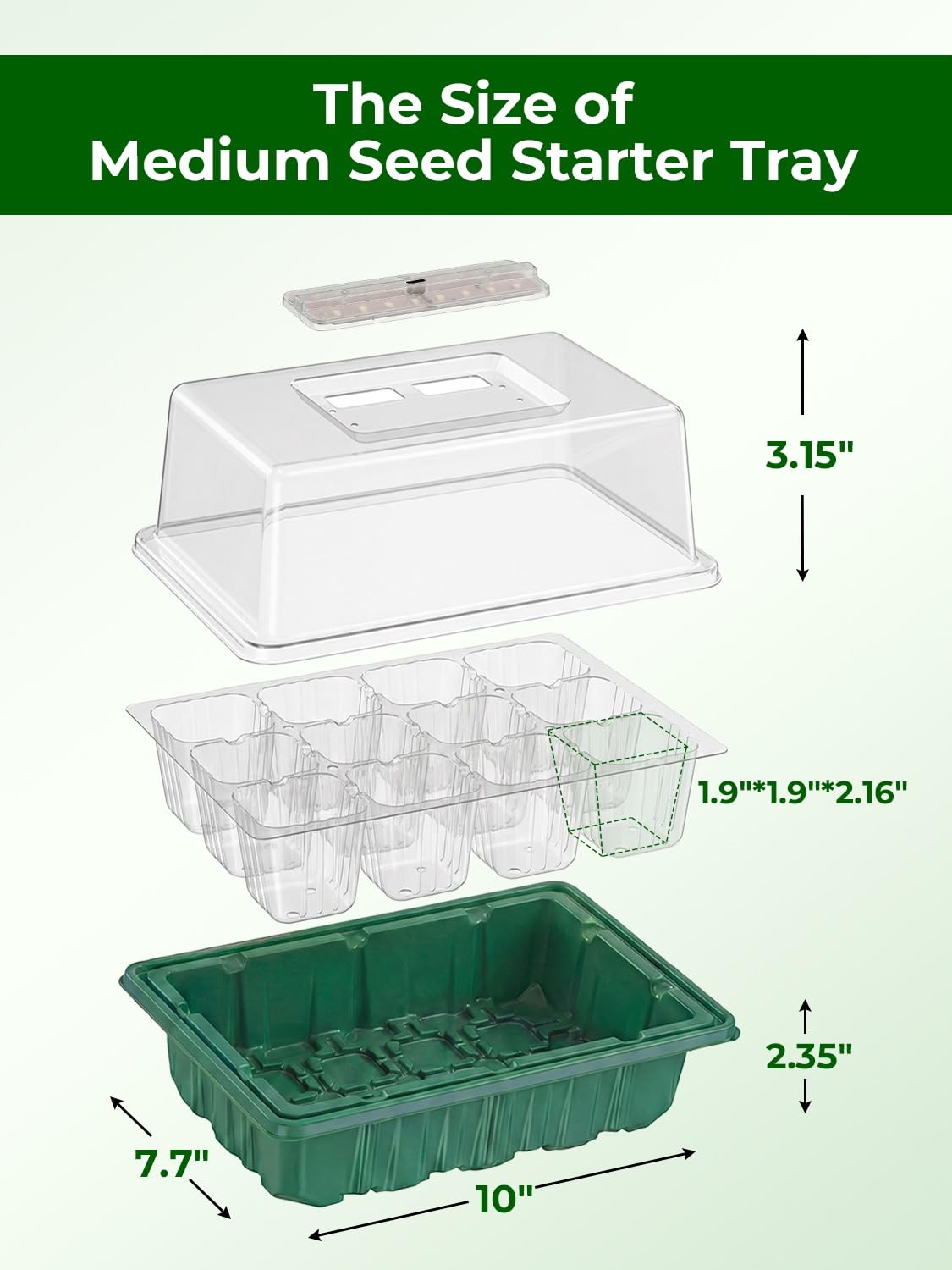Wuraire tray with drainage holes for even watering