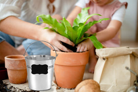 WwongxianB garden planters in galvanized buckets for small-space greenery